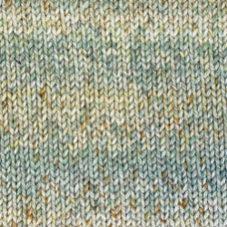 Stylecraft Impressions Aran 100g Water Lillies (5404)