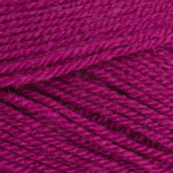 Stylecraft Special DK 100g Boysenberry (1828)