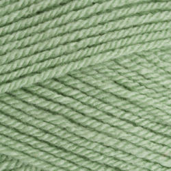 Stylecraft Special DK 100g Lincoln (1834)