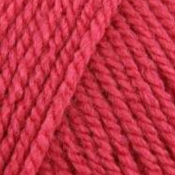 Stylecraft Special DK 100g Pomegranate (1083)